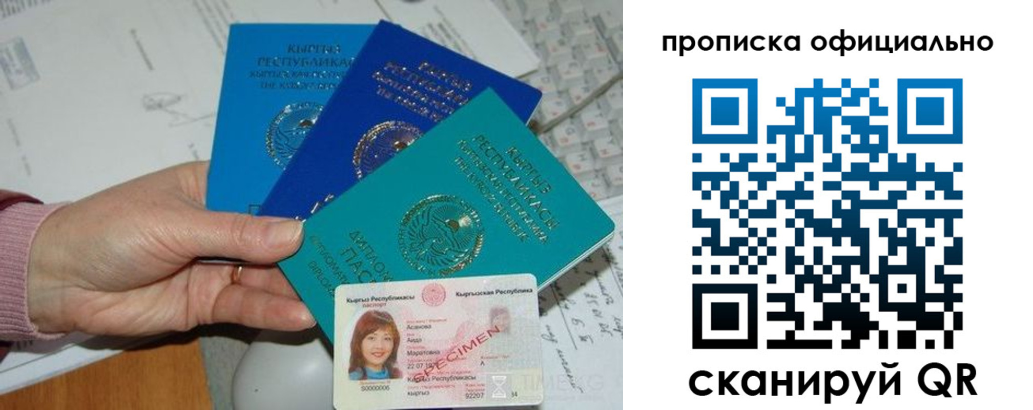 где прописаться в Михайловке